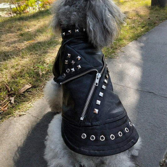 Studded Leather-Style Dog Jacket