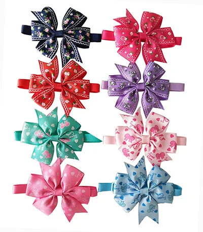 48319994691877|48319994724645