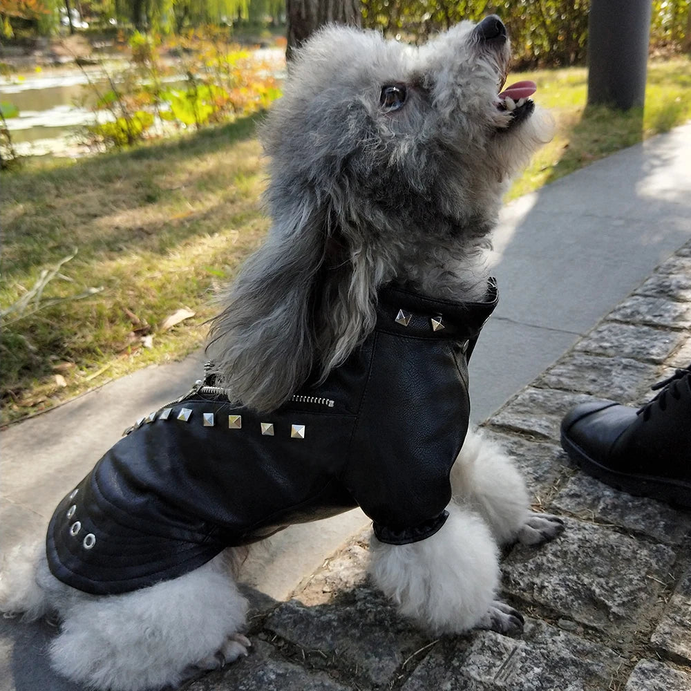Studded Leather-Style Dog Jacket