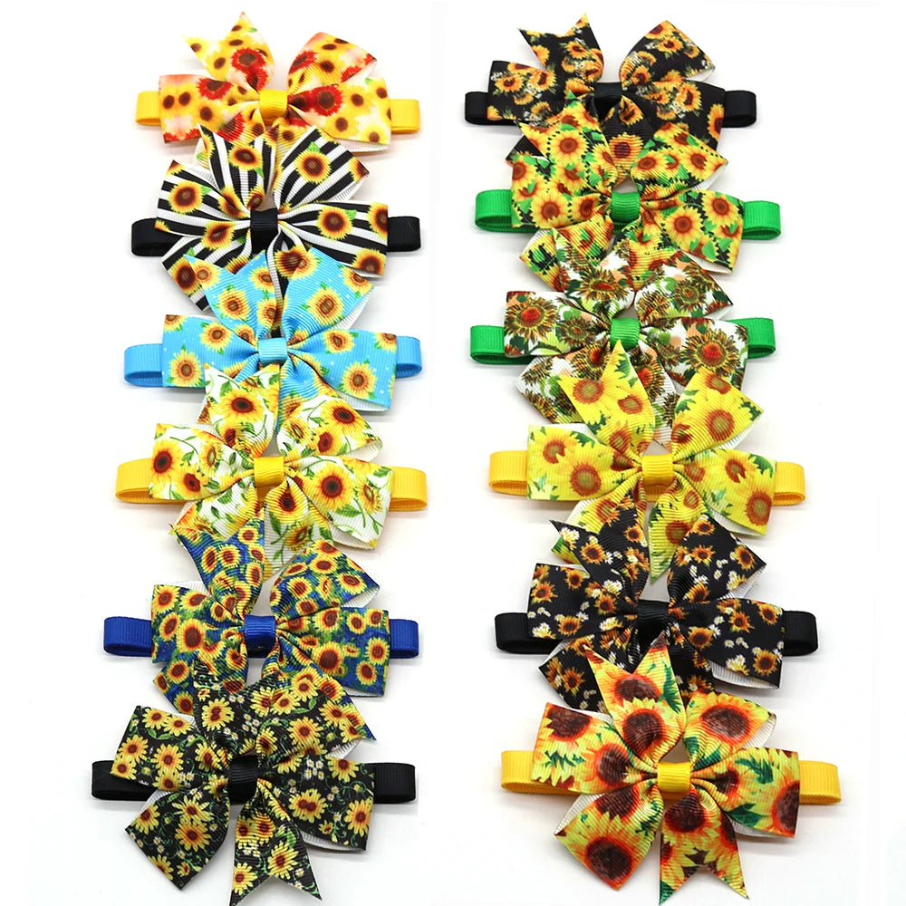 48319994298661|48319994331429